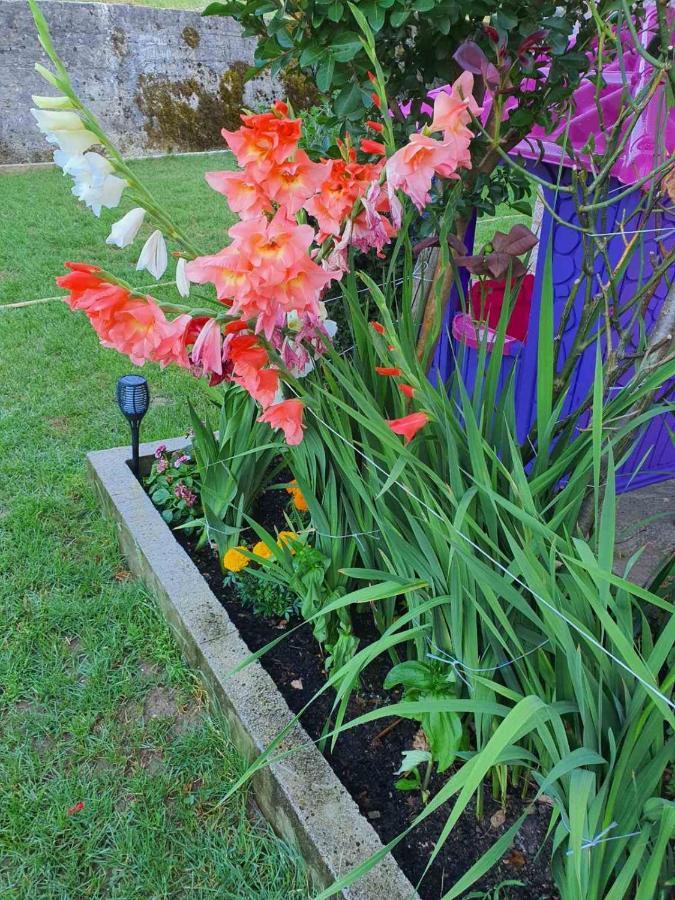 Village House Dunja เวียร์ปาซาร์ ภายนอก รูปภาพ